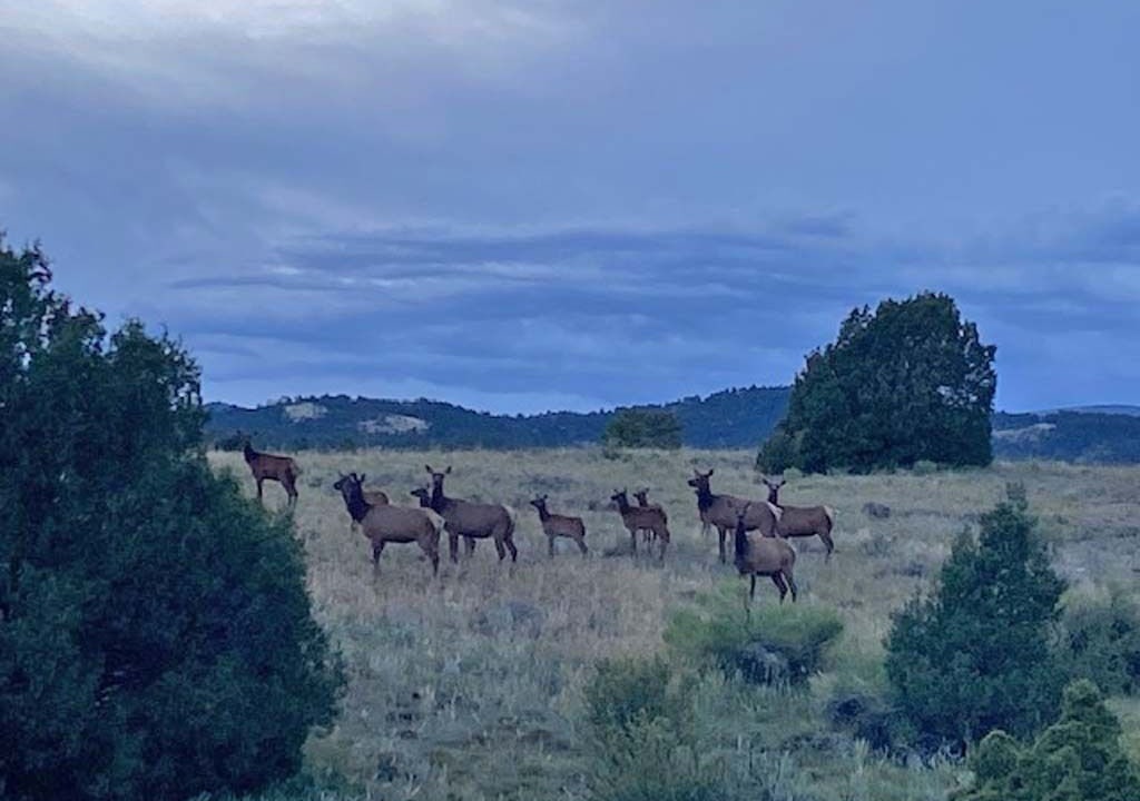 Photo of Others in Alamosa