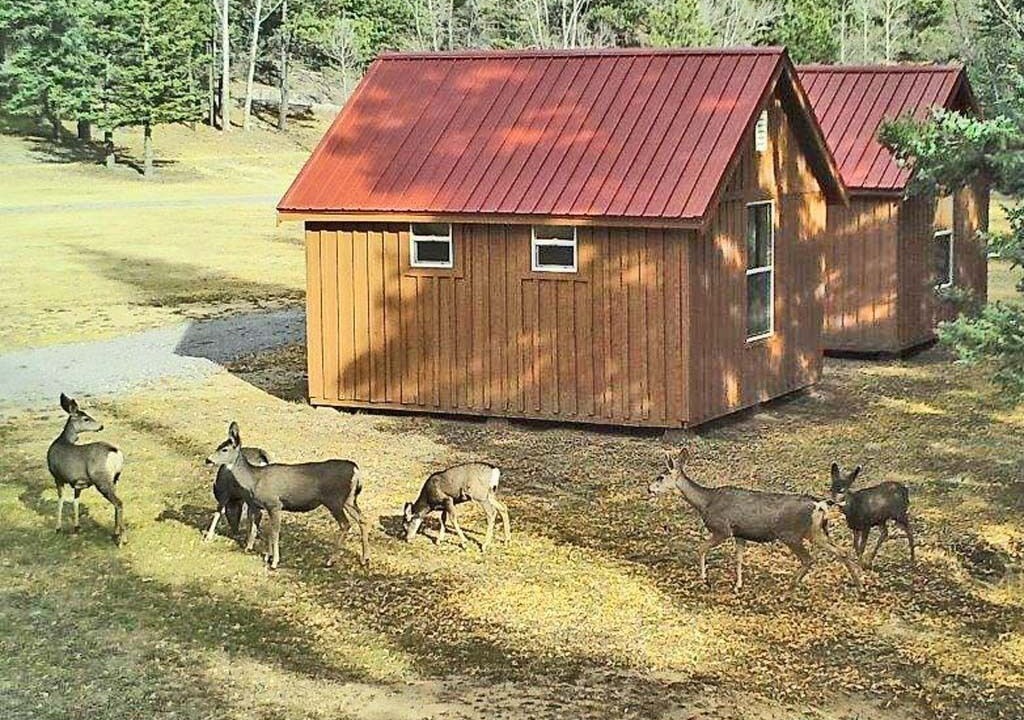 Photo of Outdoor in Alamosa