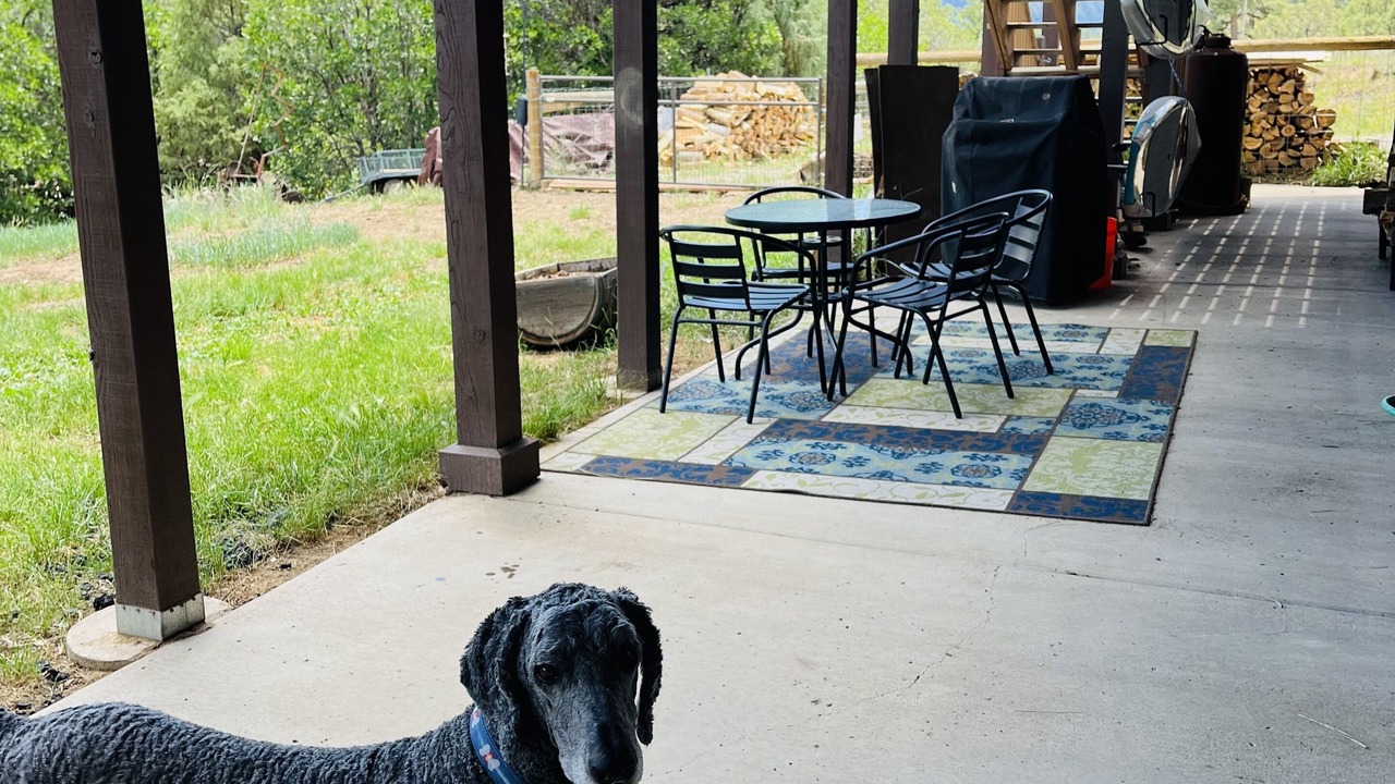 Photo of Outdoor in Pagosa Meadows IV