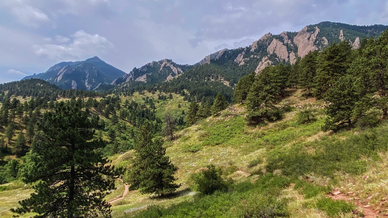 Photo of Outdoor in Martin Acres