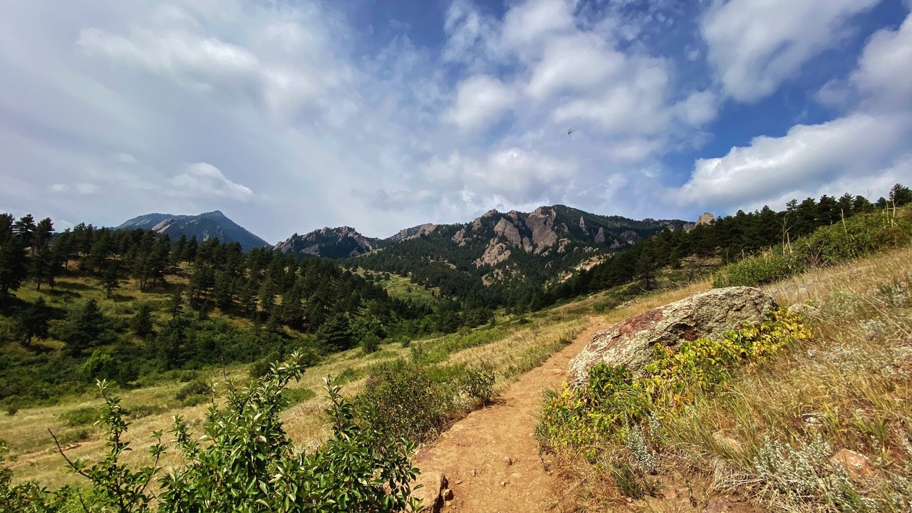 Photo of Outdoor in Martin Acres