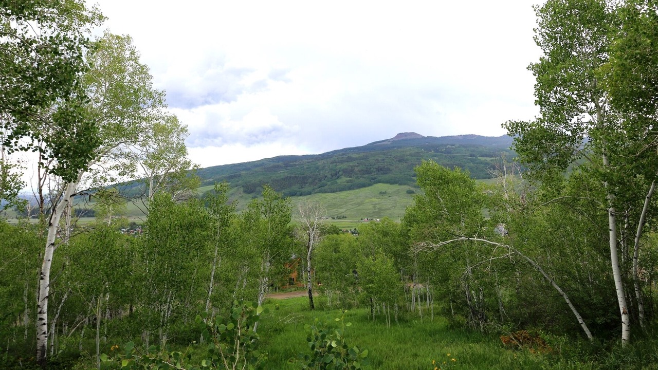 Photo of Others in Crested Butte South