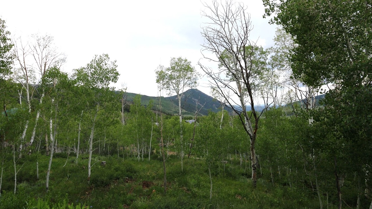 Photo of Outdoor in Crested Butte South