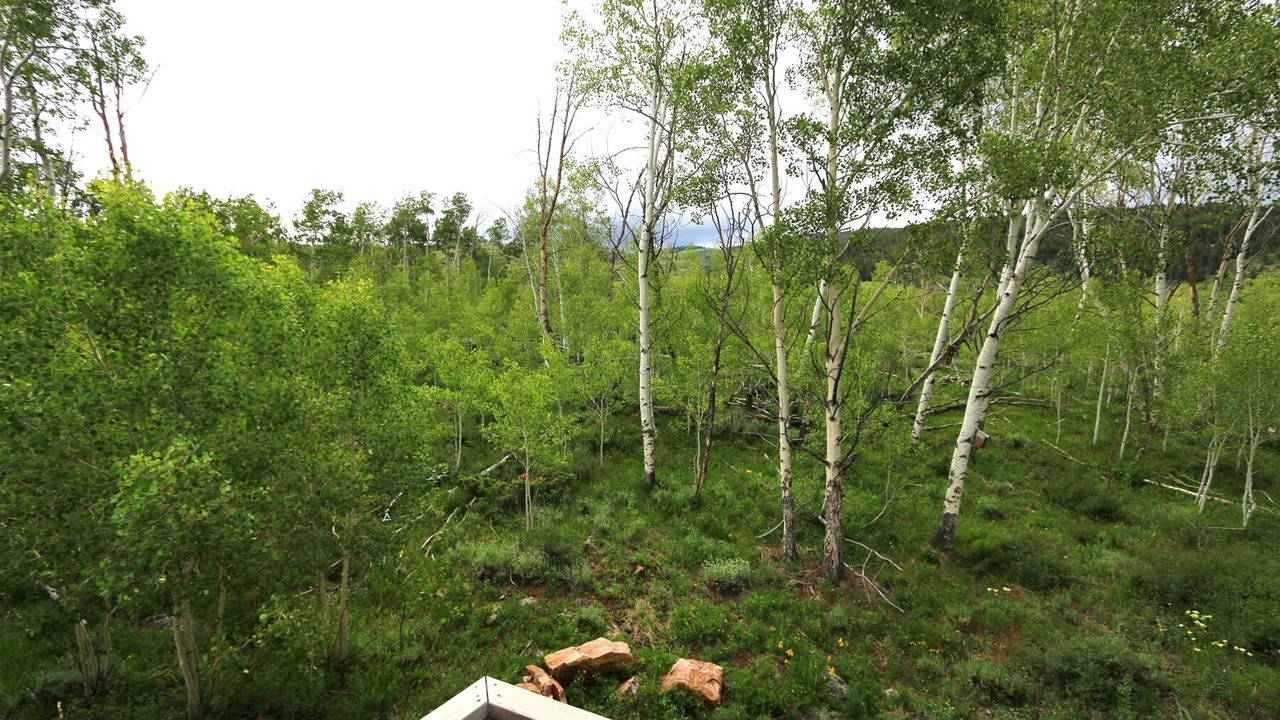 Photo of Patio Balcony in Crested Butte South