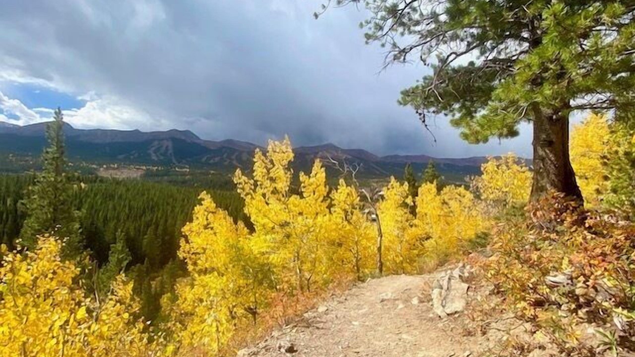 Photo of Others in Breckenridge Heights