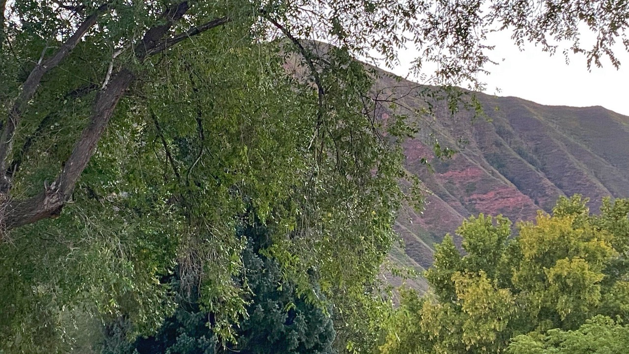 Photo of Others in Glenwood Springs