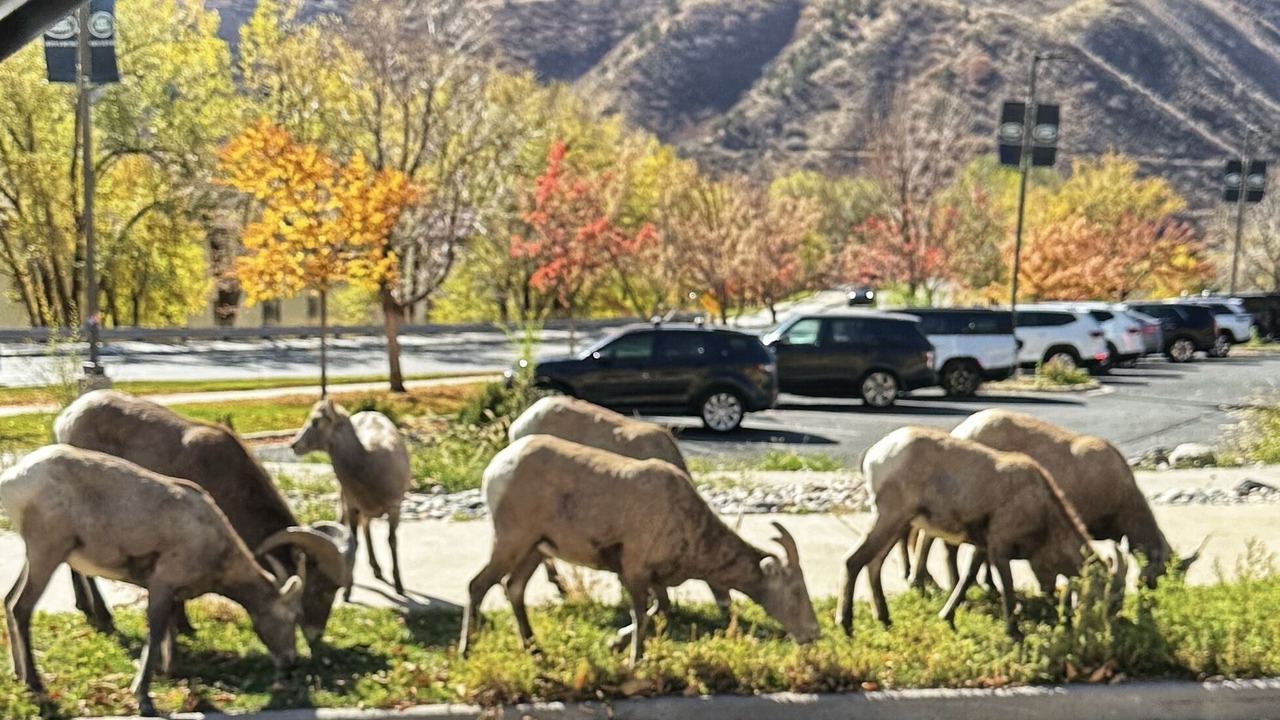 Photo of Others in Glenwood Springs