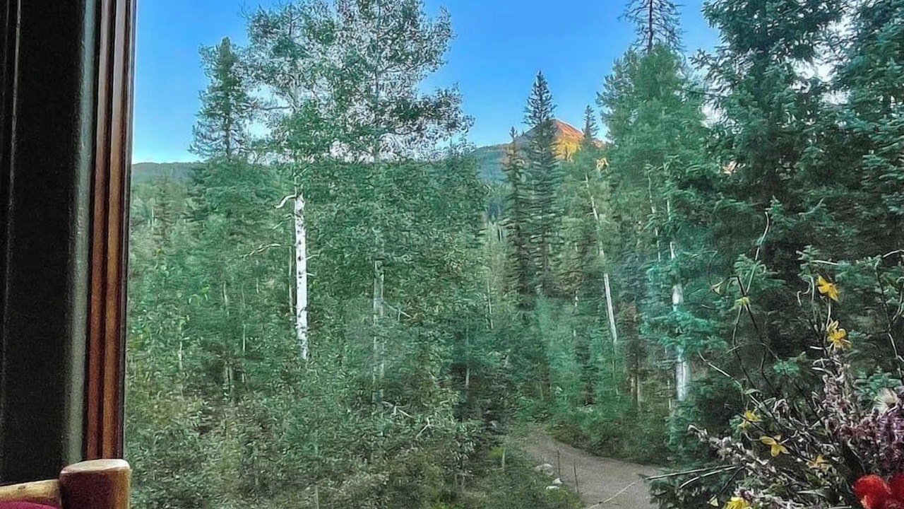 Photo of Bedroom in Purgatory