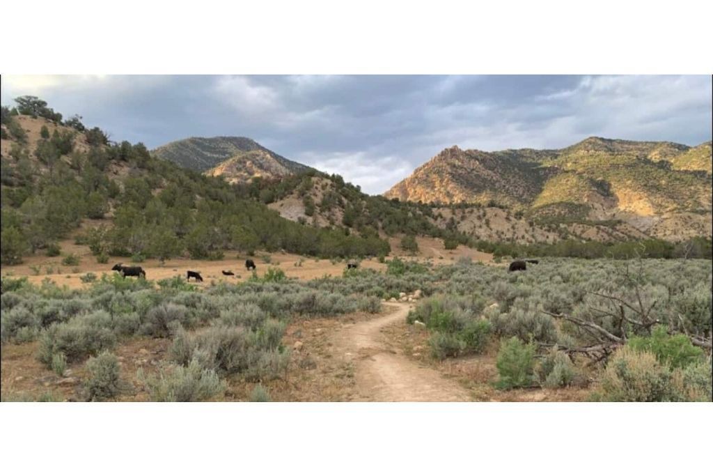 Photo of Outdoor in Glenwood Springs