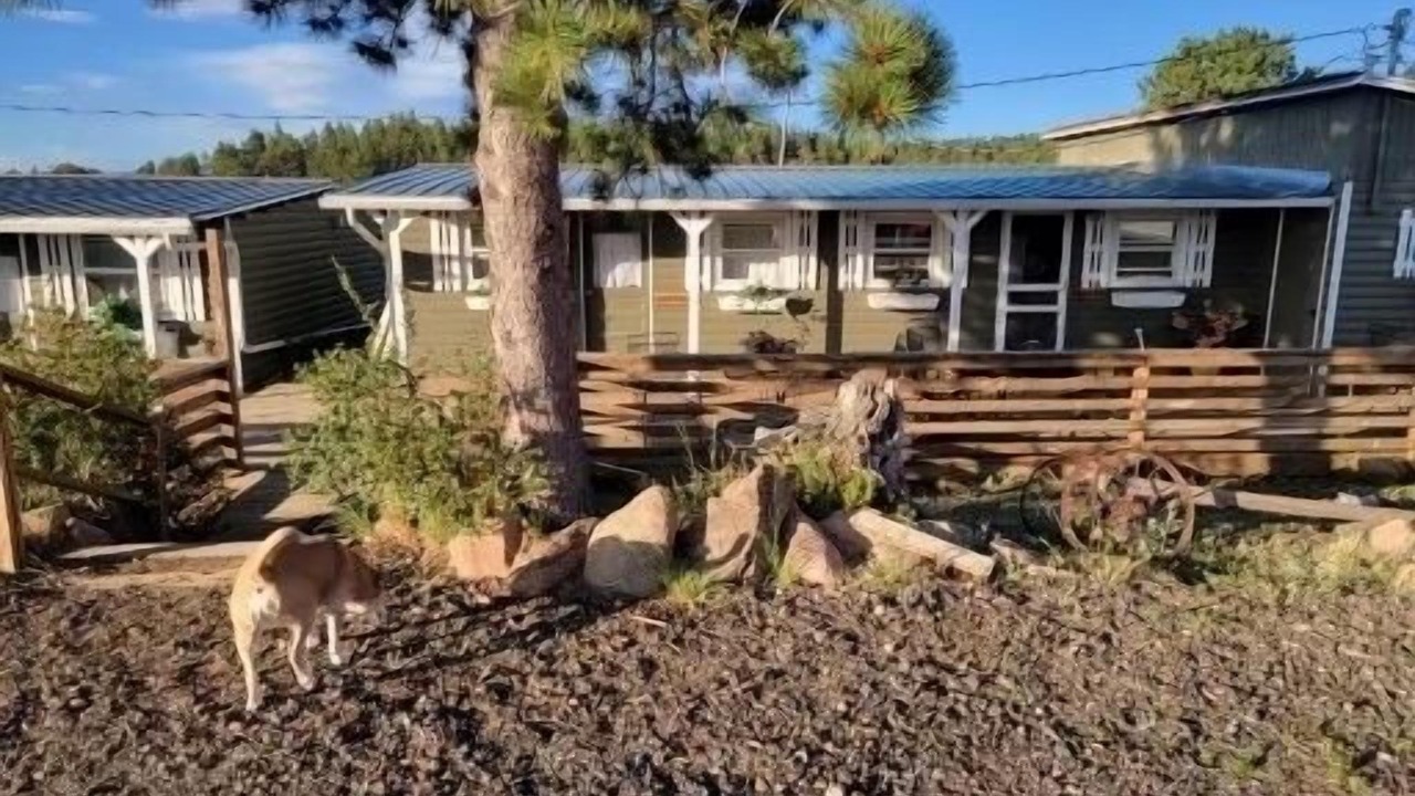 Photo of Outdoor in Red Feather Lakes