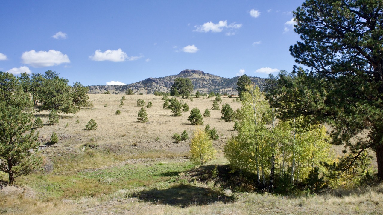 Photo of Outdoor in Park County