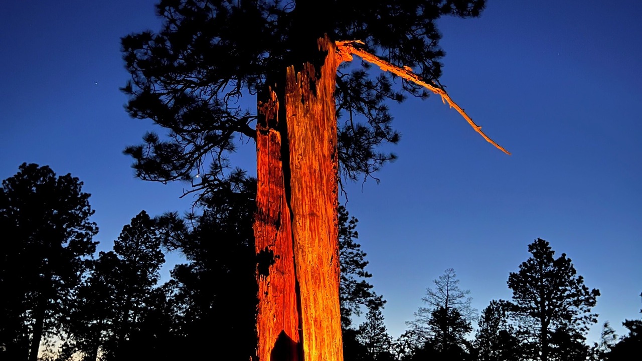 Photo of Others in Placerville