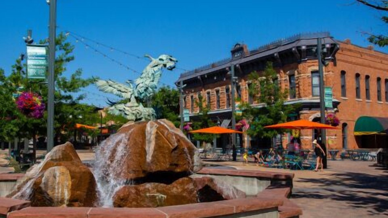 Photo of Others in Fort Collins