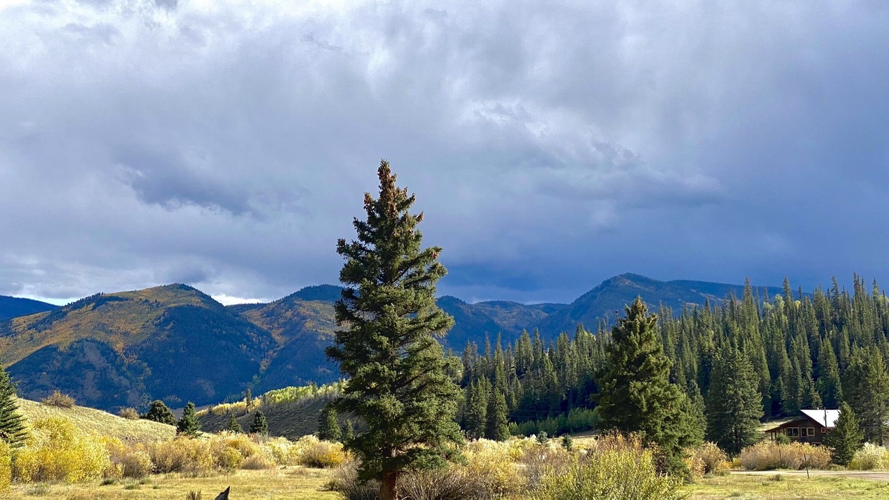 Photo of Others in Creede