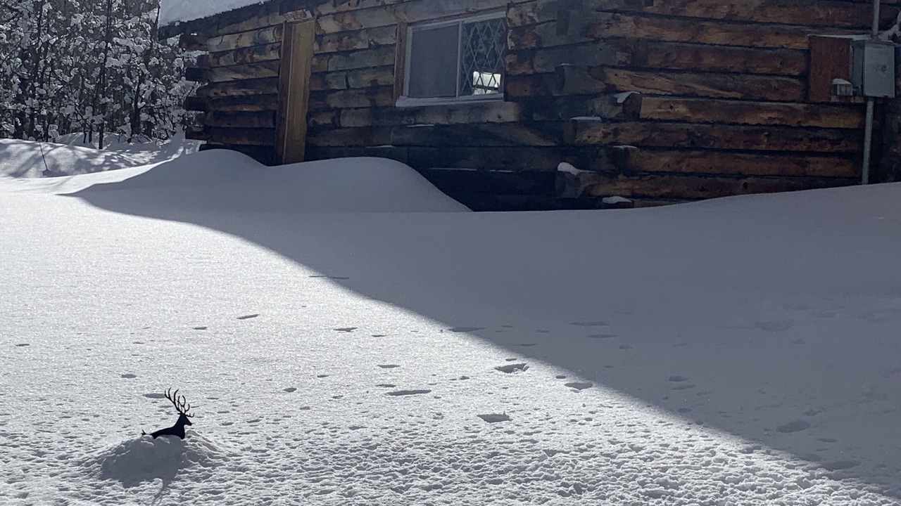 Photo of Outdoor in Mesa
