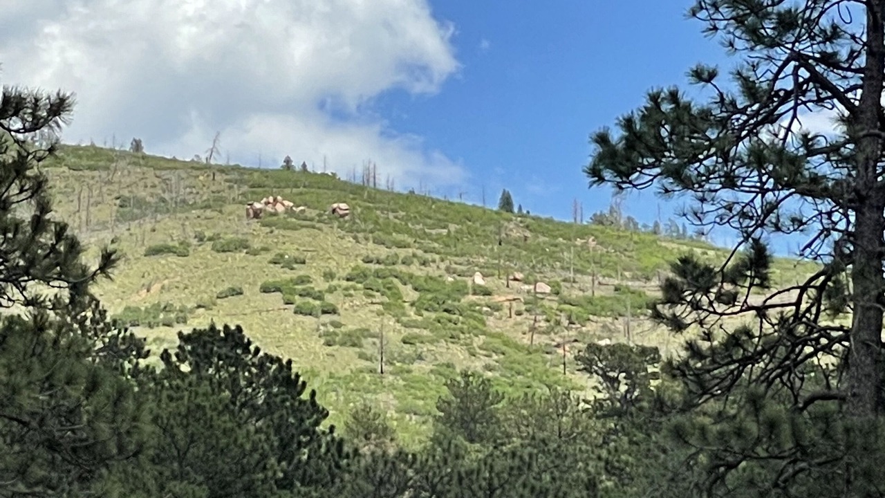 Photo of Others in Cascade