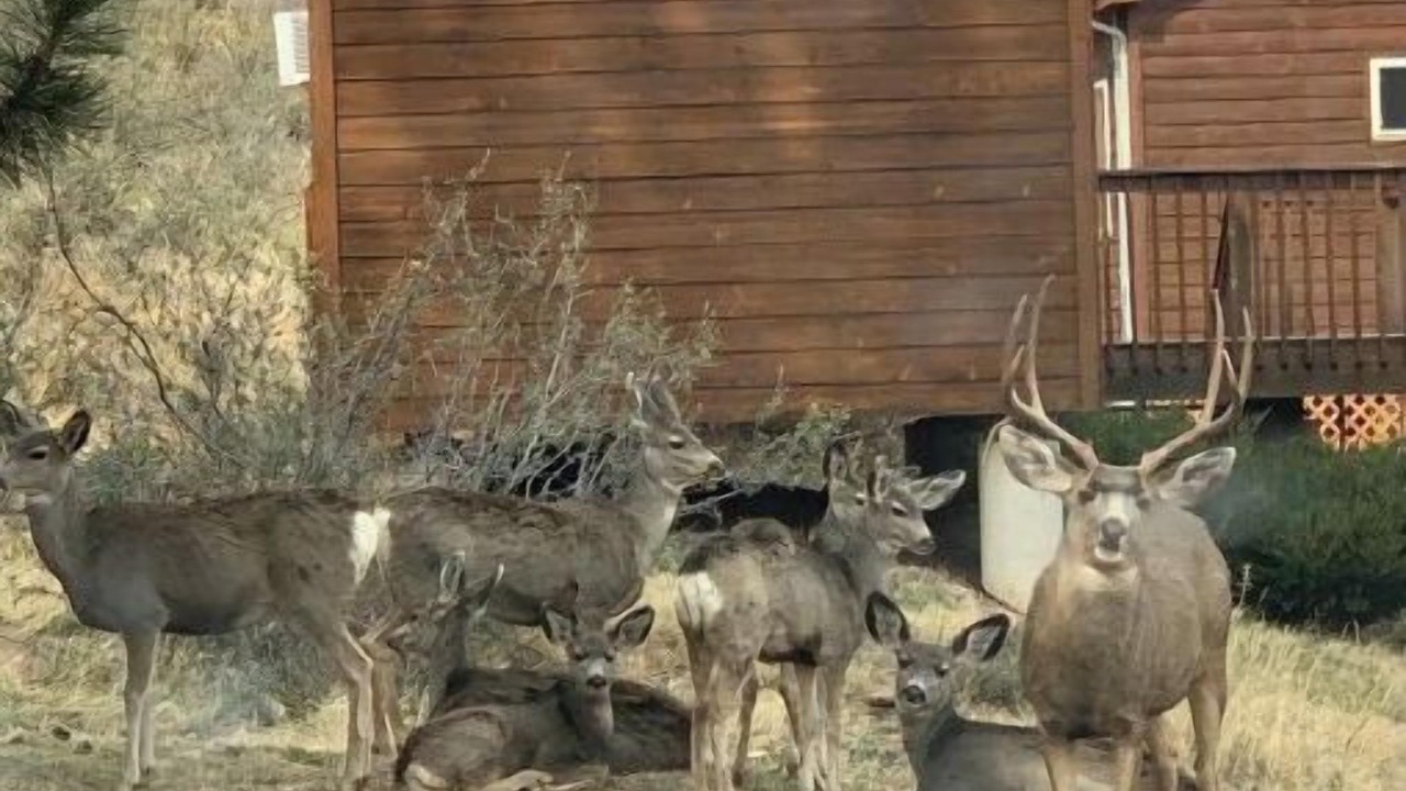 Photo of Outdoor in Fort Collins