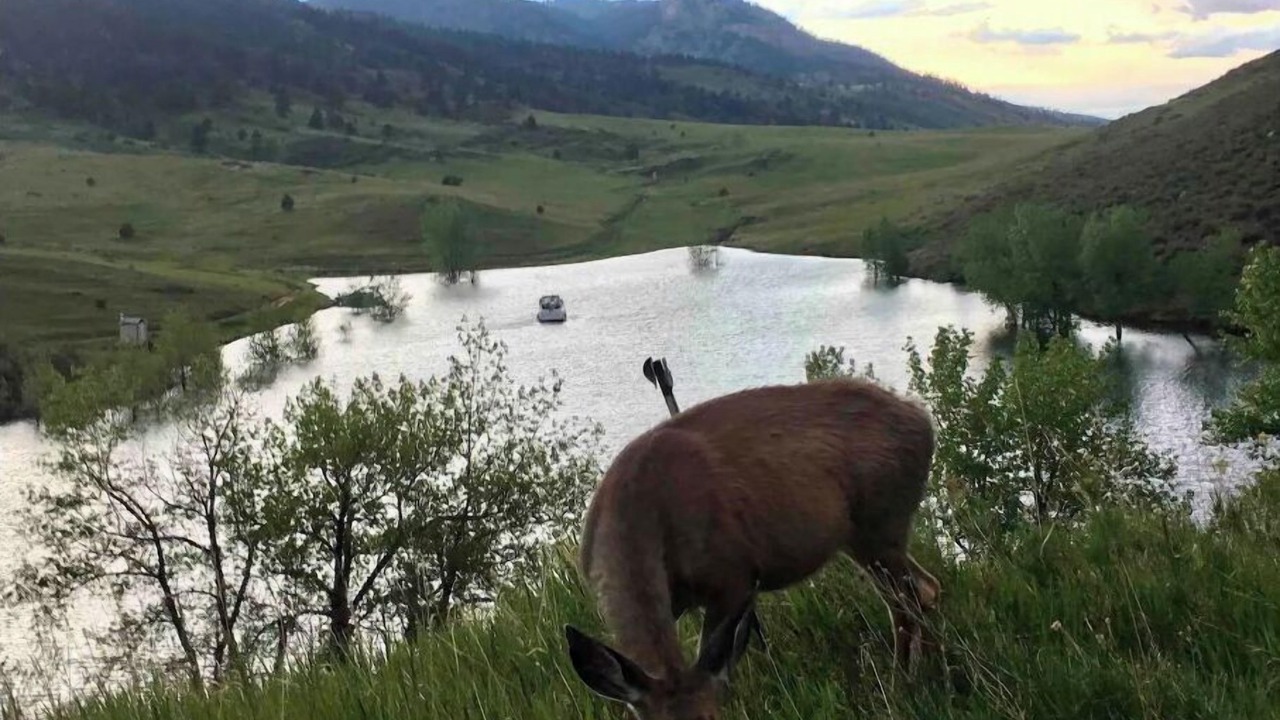 Photo of Outdoor in Fort Collins