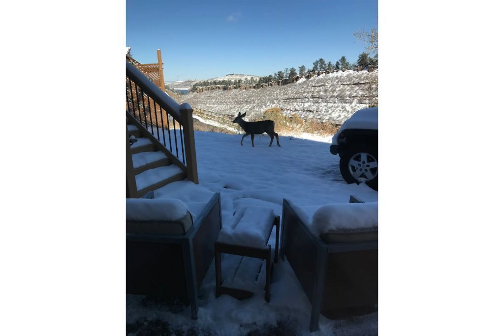Photo of Outdoor in Fort Collins