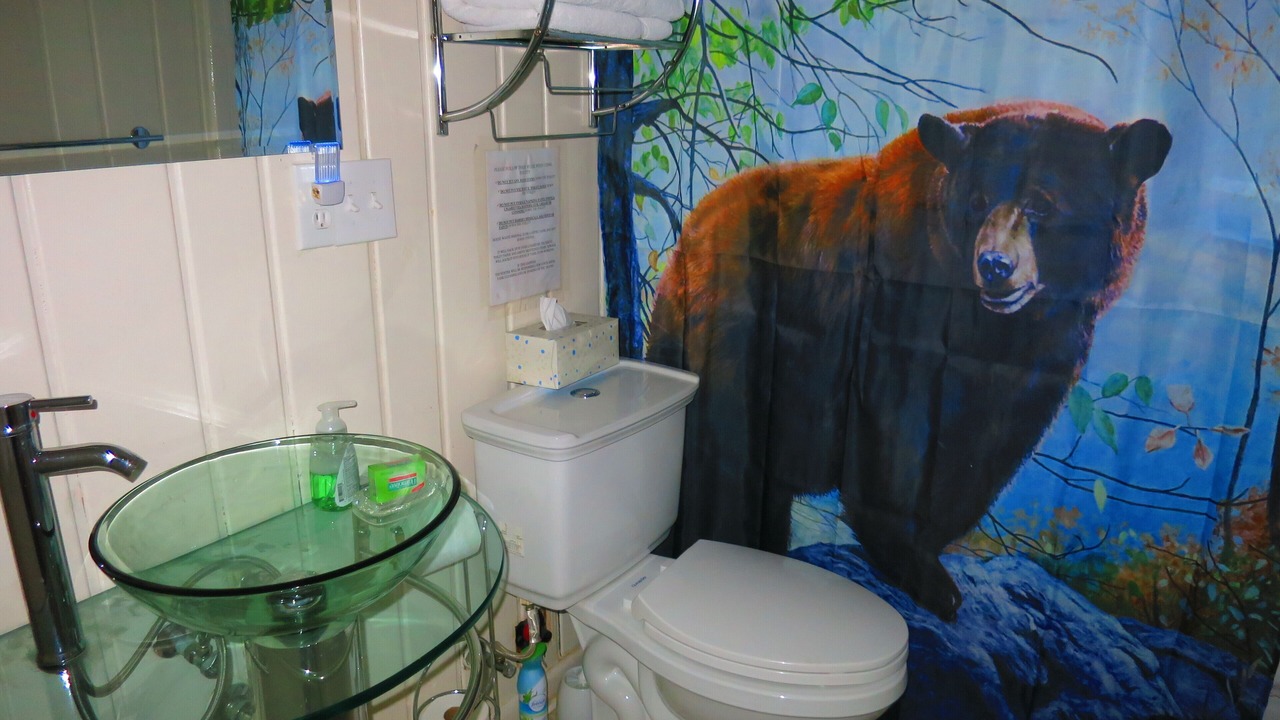 Photo of Bathroom in Manitou Springs