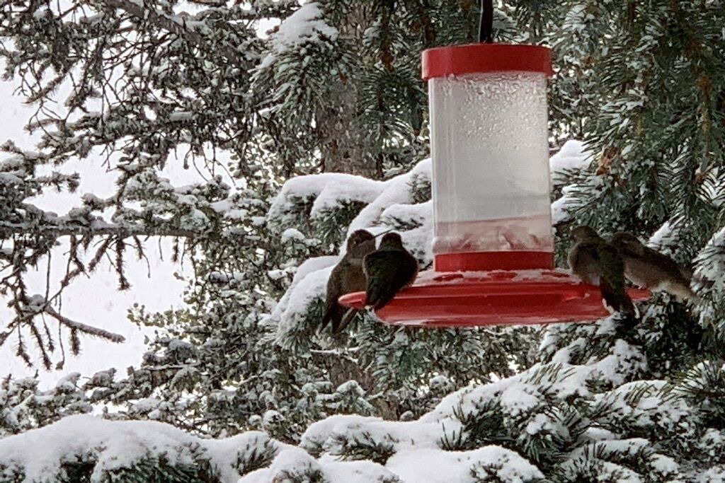 Photo of Outdoor in Michigan Hill