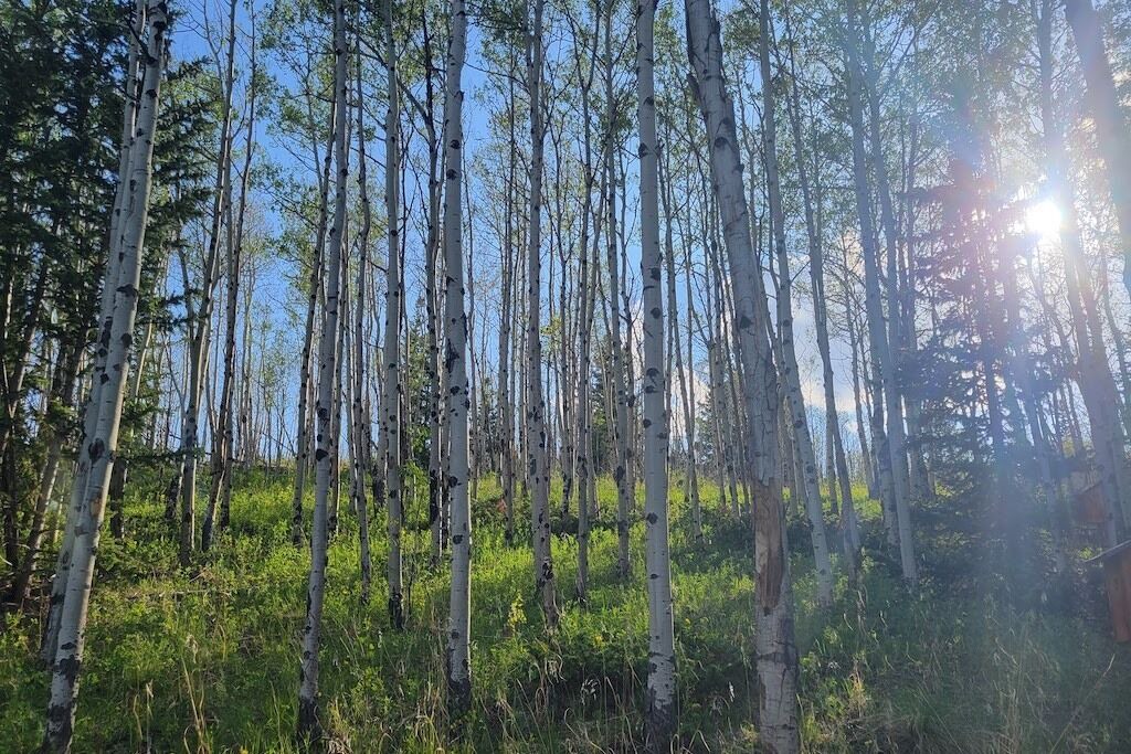 Photo of Others in Michigan Hill