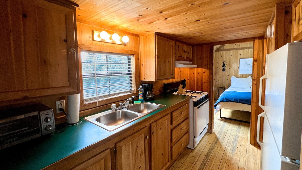 Photo of Kitchen in Montrose