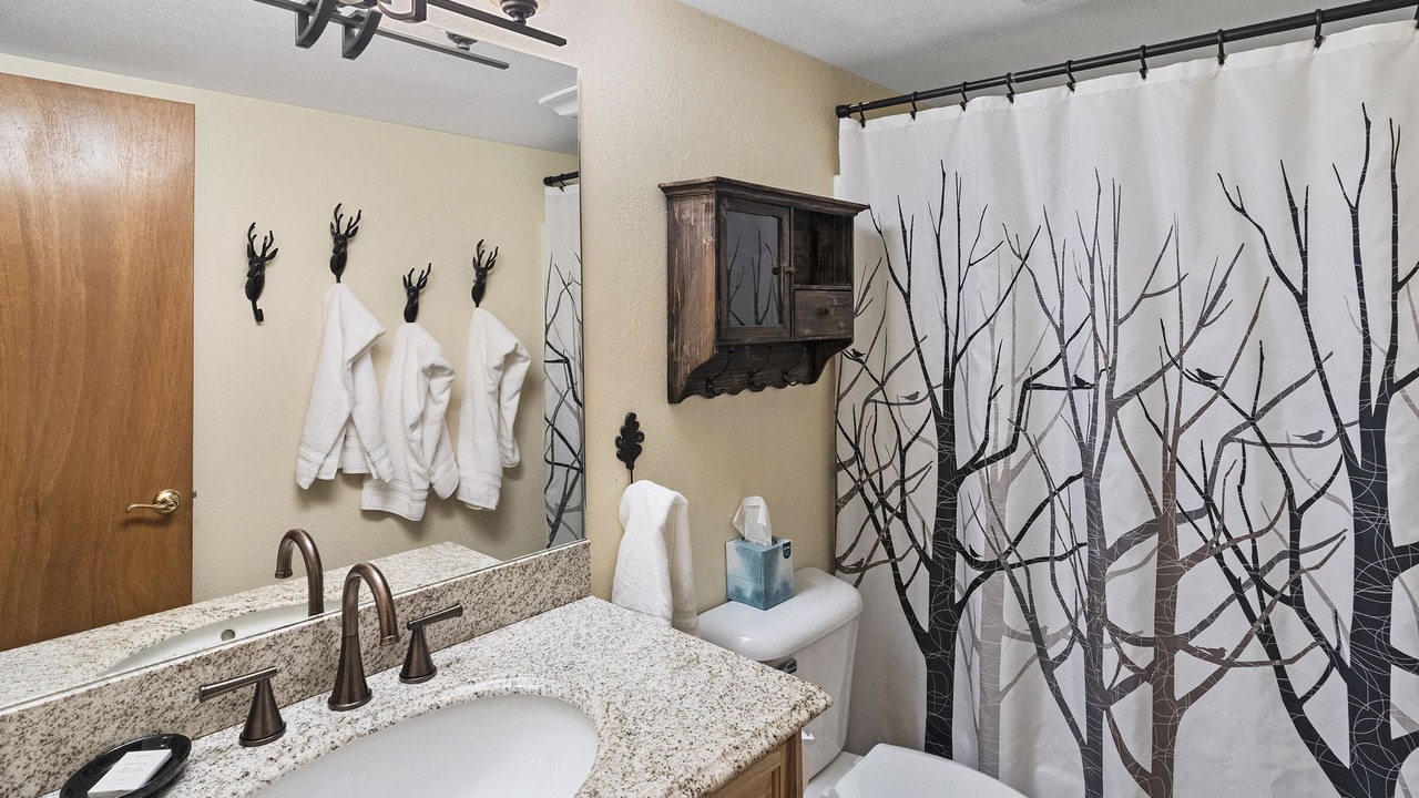 Photo of Bathroom in Steamboat Springs