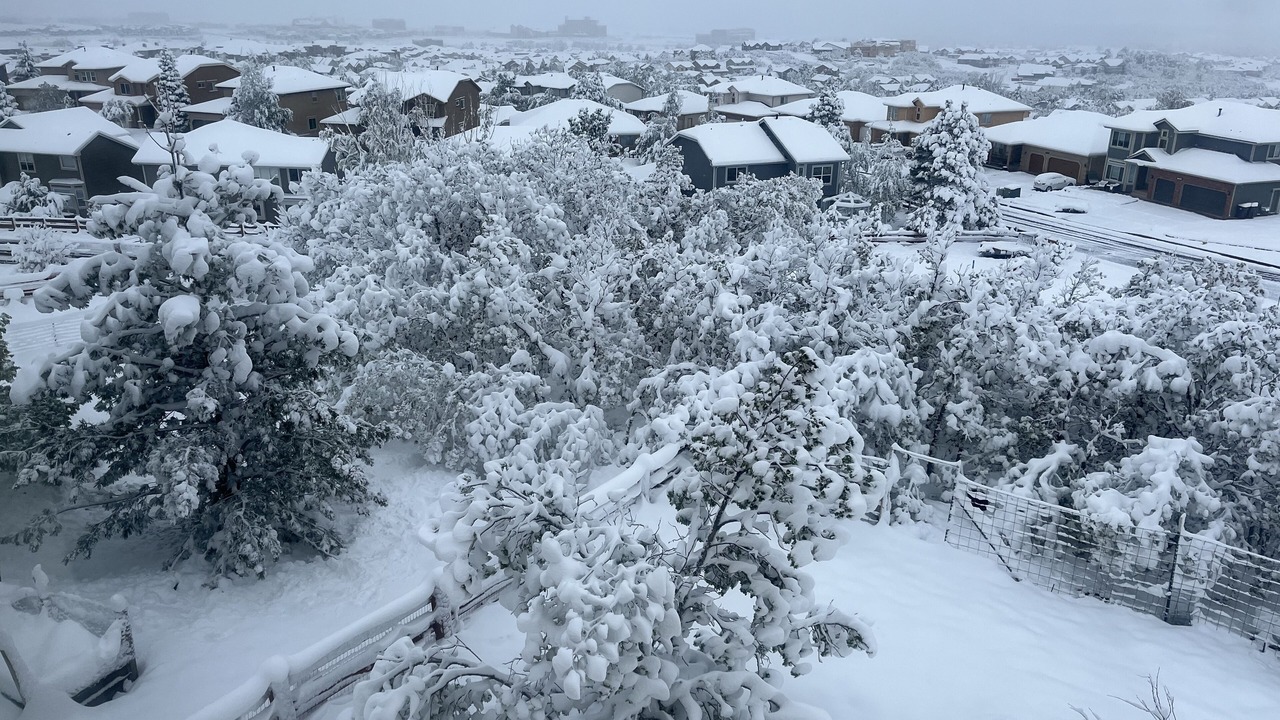 Photo of Outdoor in Northgate