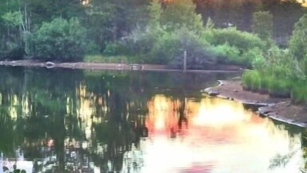 Photo of Outdoor in Red Feather Lakes