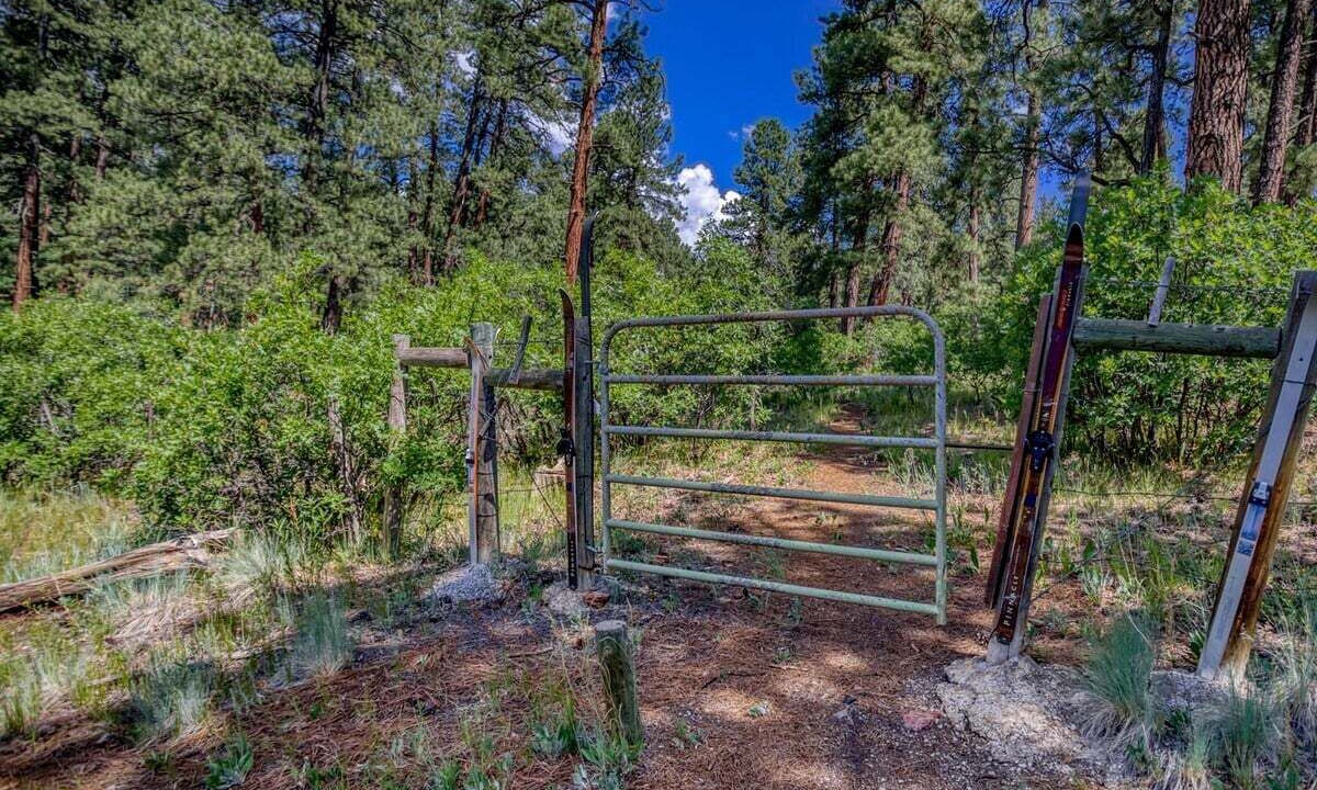 Photo of Outdoor in Pagosa Highlands