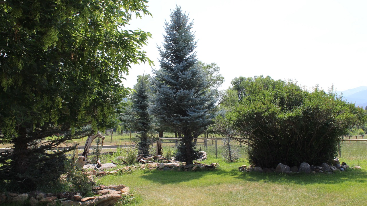 Photo of Outdoor in Salida