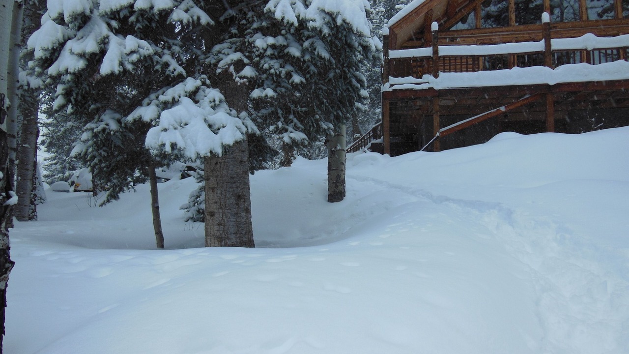 Photo of Others in Cimarron