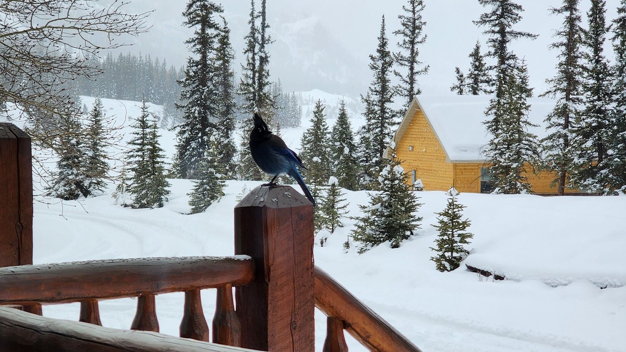 Photo of Outdoor in Lake City