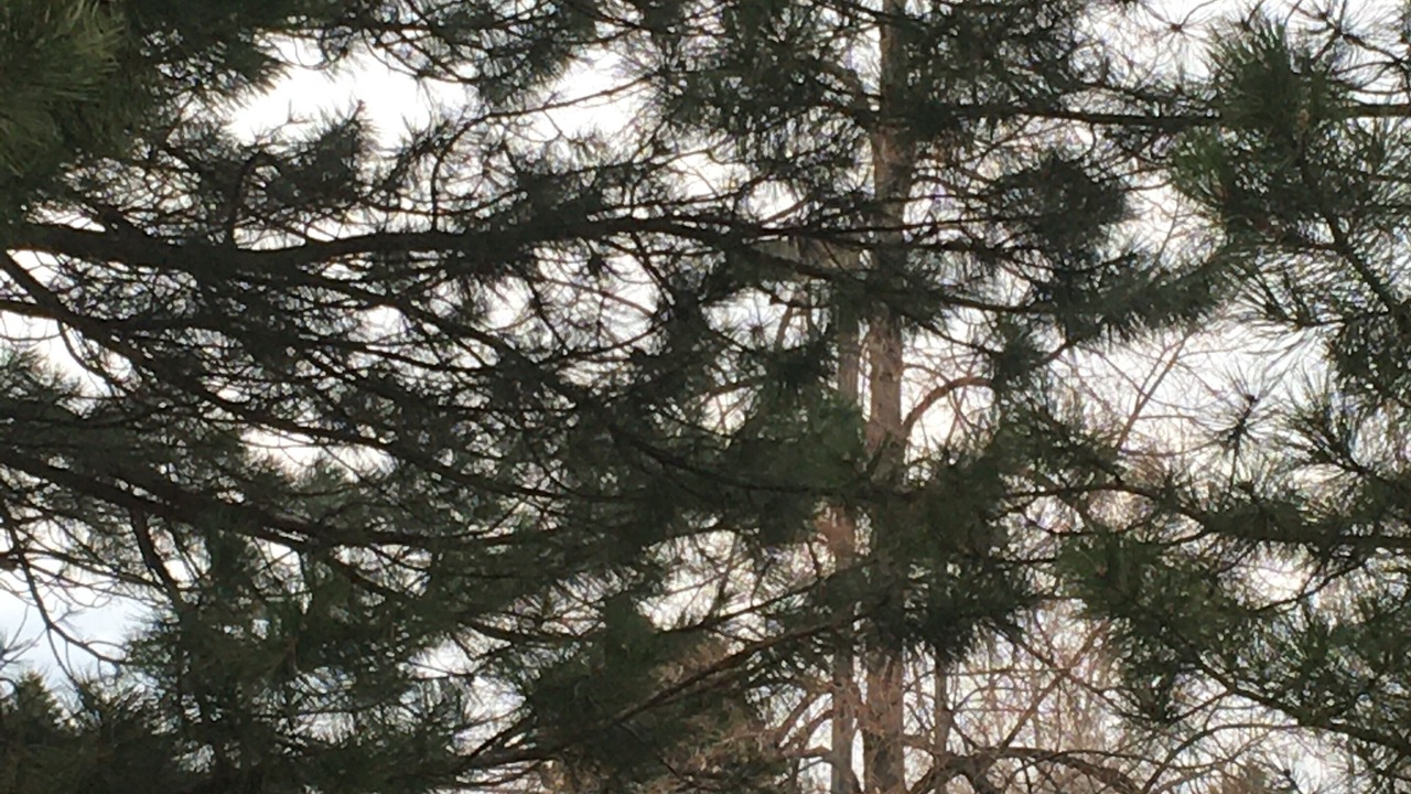 Photo of Others in Martinez Park