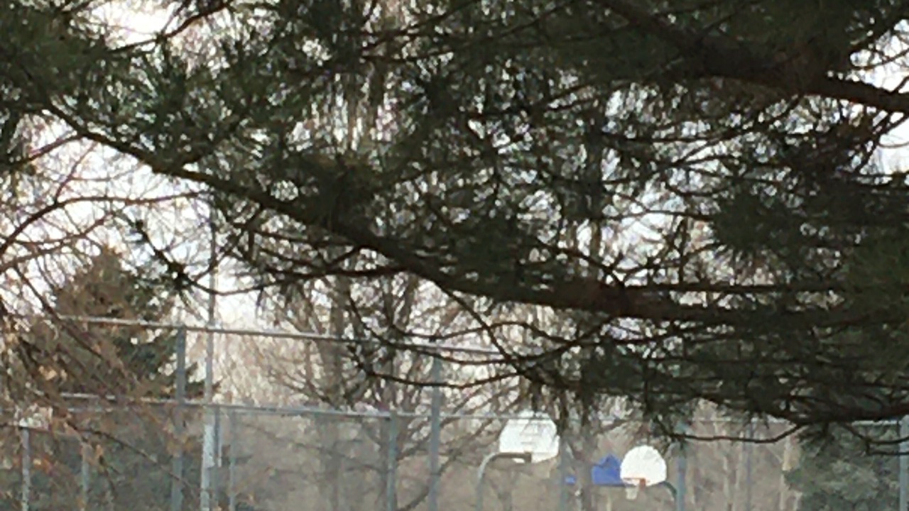 Photo of Others in Martinez Park