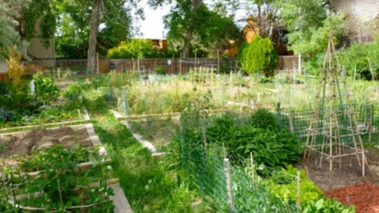 Photo of Outdoor in Glenwood Grove - North Iris