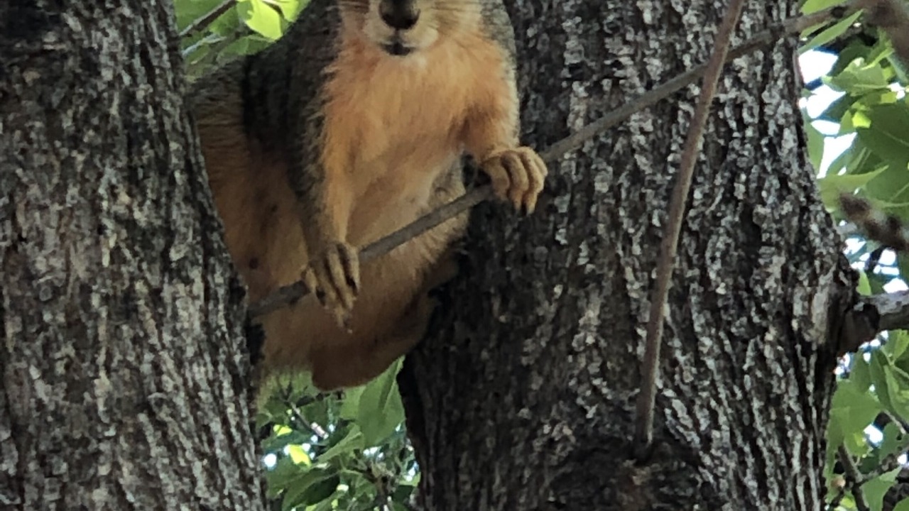 Photo of Outdoor in Canon City