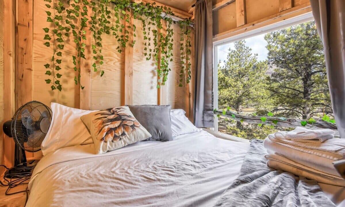 Photo of Bedroom in Larkspur