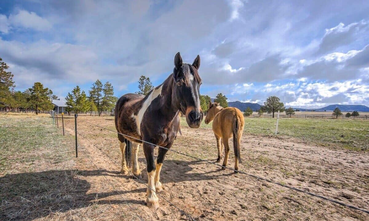 Photo of Outdoor in Larkspur