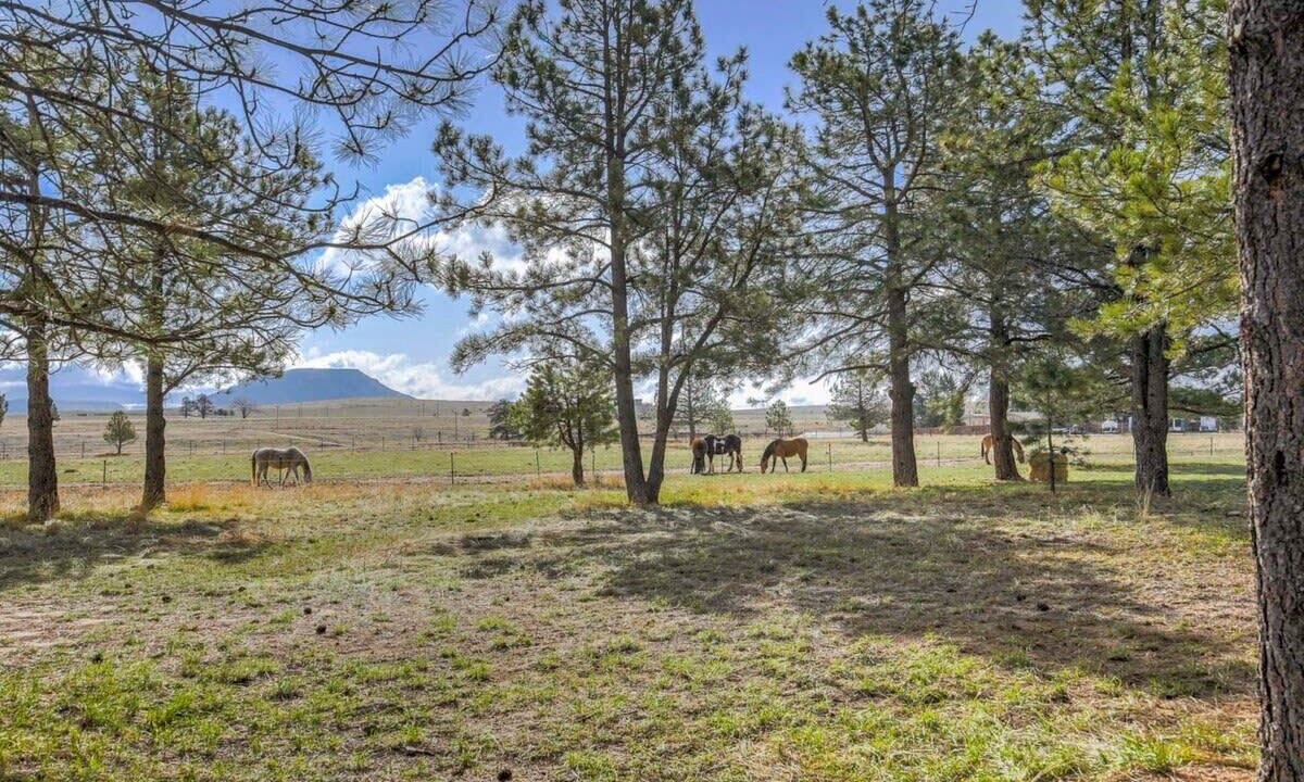 Photo of Outdoor in Larkspur