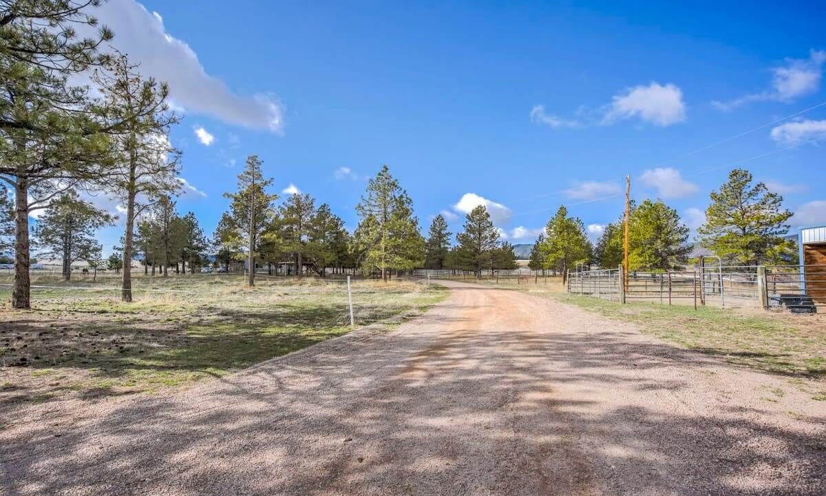 Photo of Outdoor in Larkspur