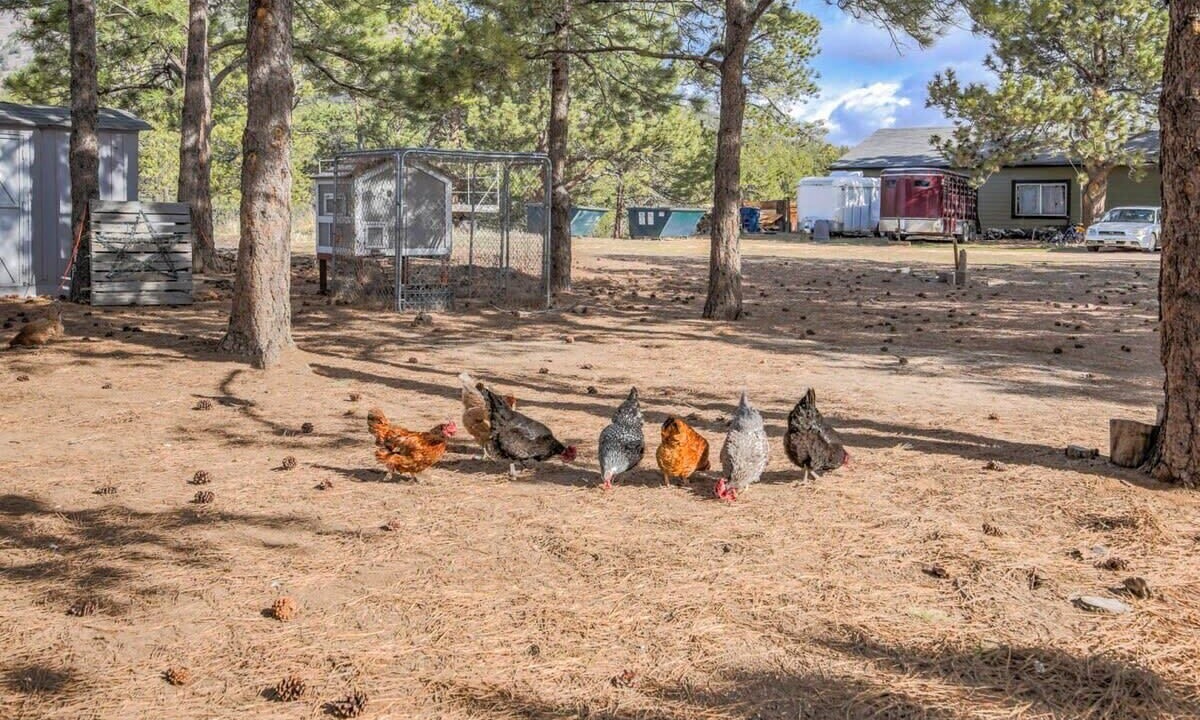 Photo of Others in Larkspur