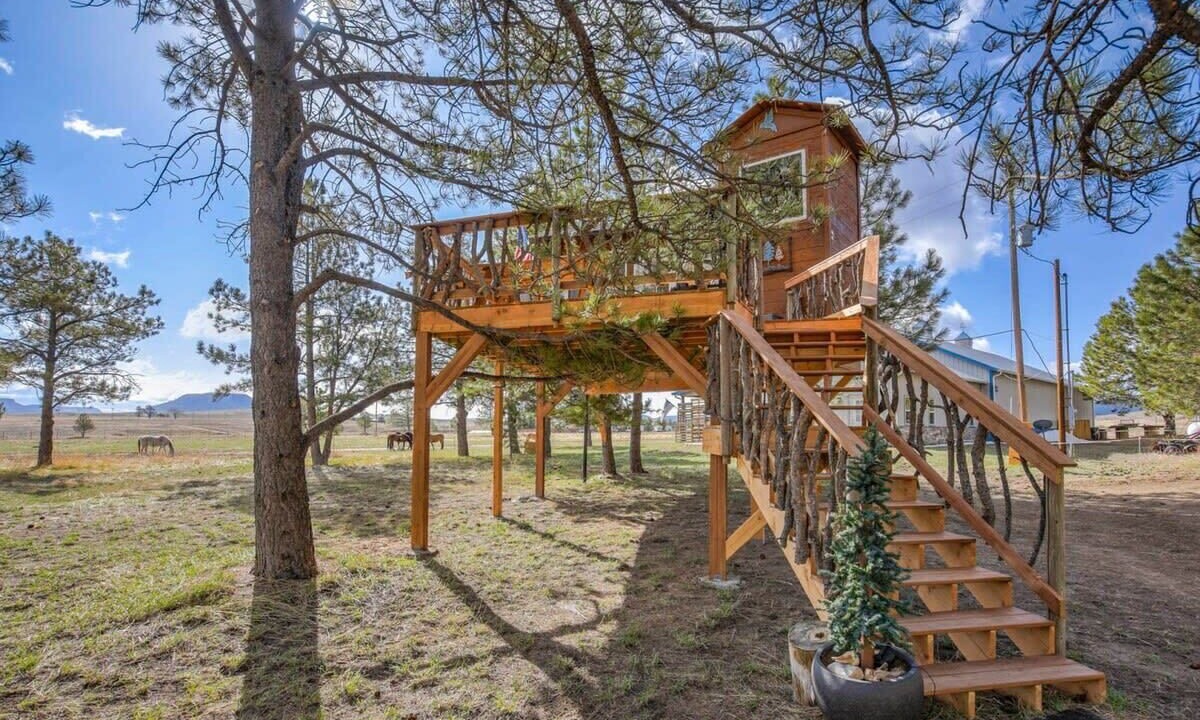 Photo of Outdoor in Larkspur