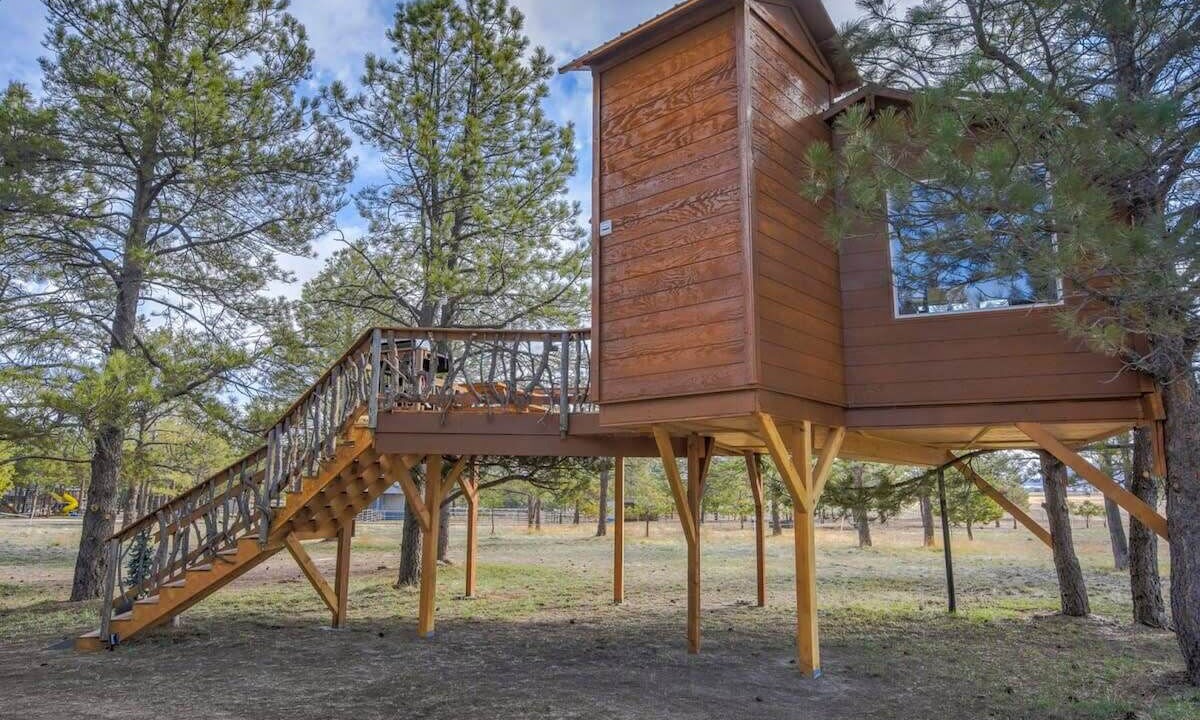 Photo of Outdoor in Larkspur