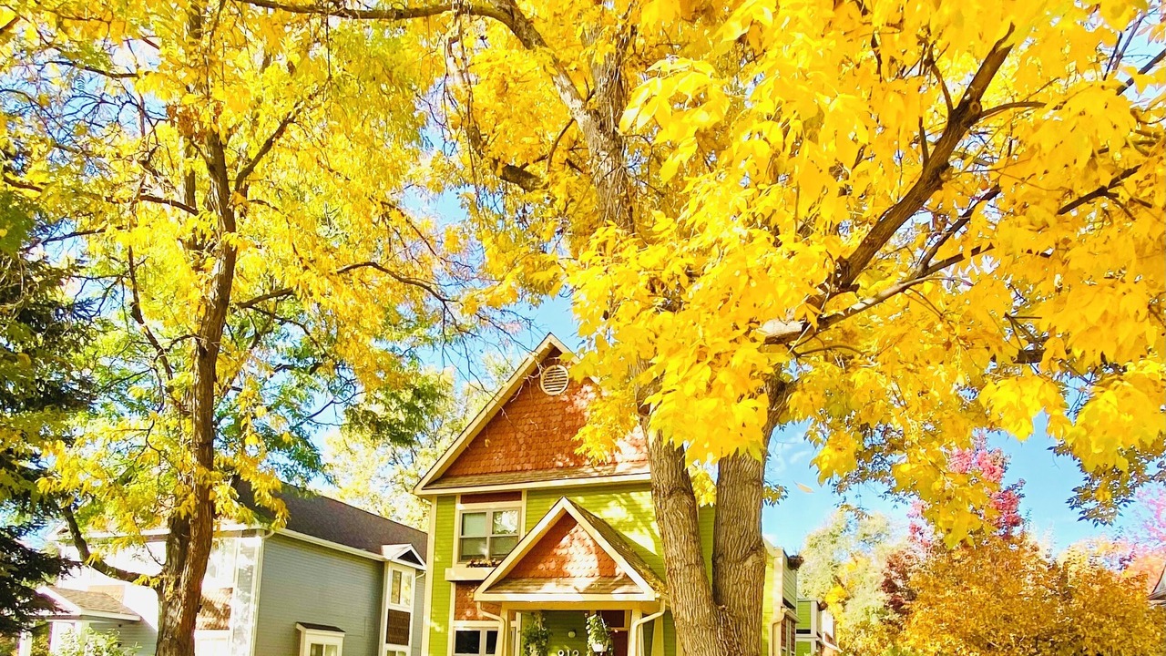 Photo of Outdoor in University Park