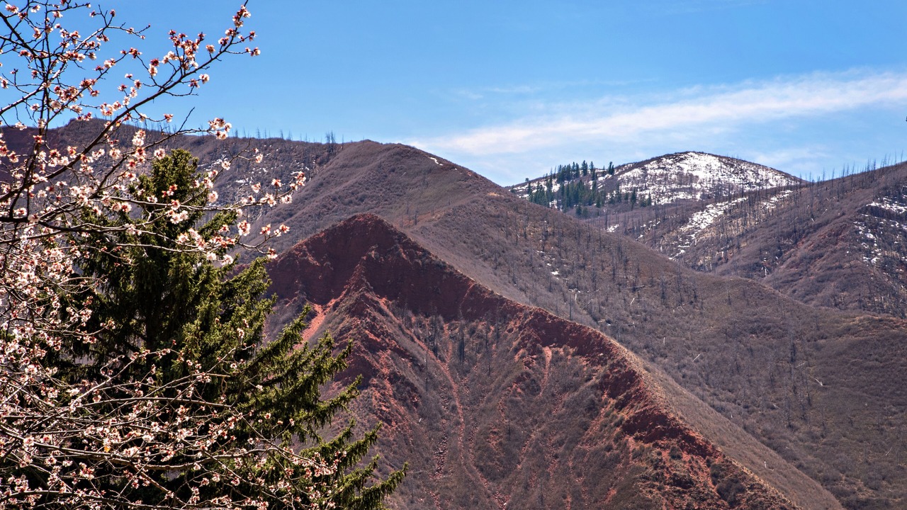 Photo of Others in Glenwood Springs
