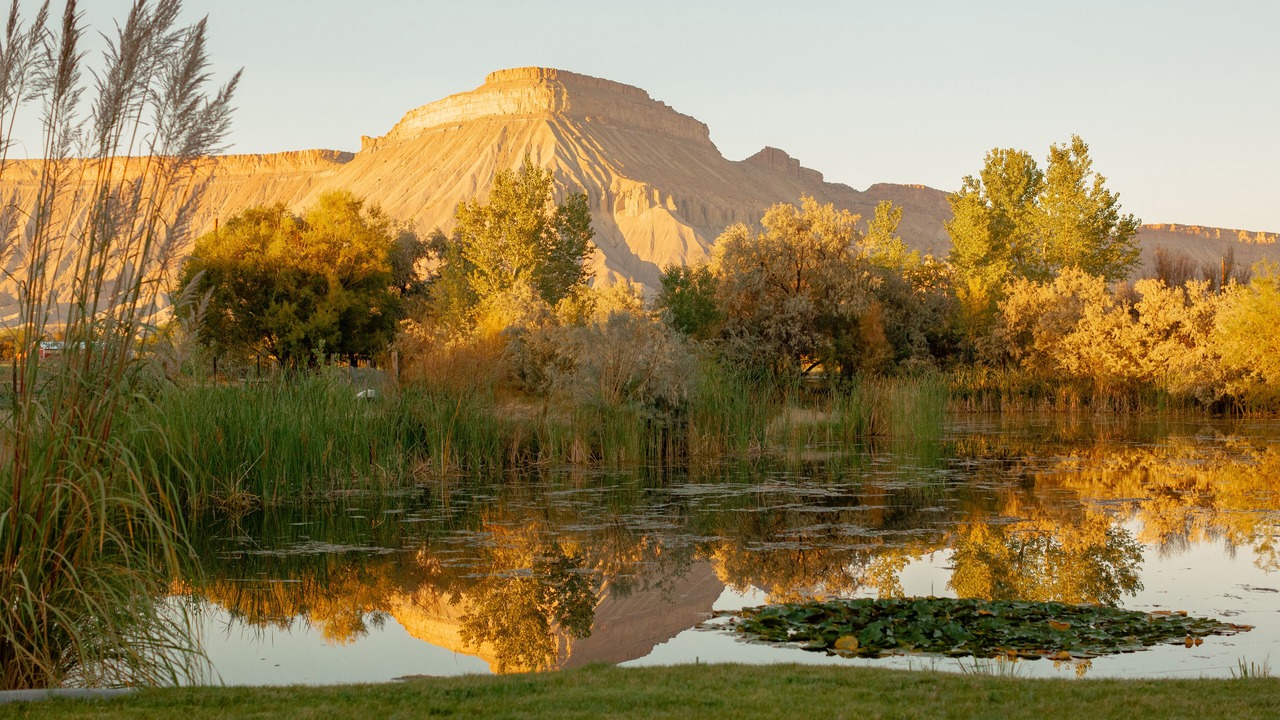 Photo of Outdoor in Clifton