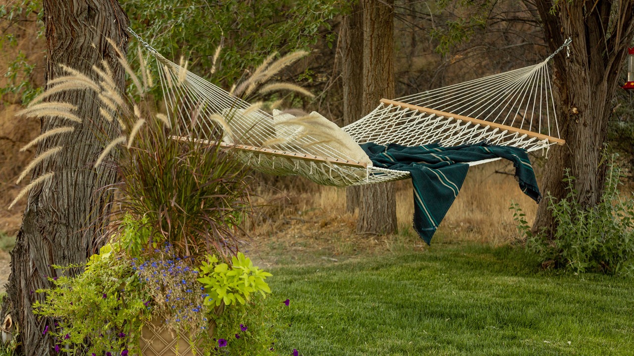 Photo of Outdoor in Clifton