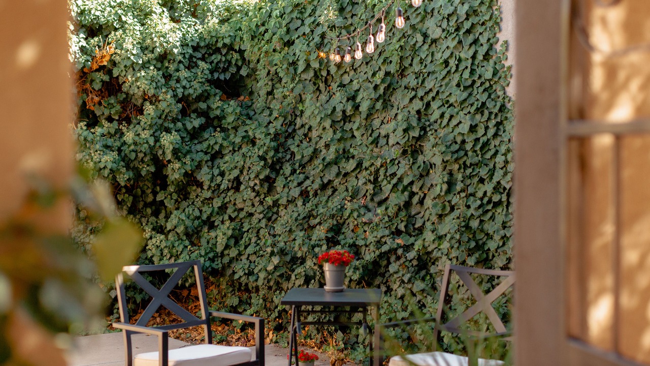 Photo of Patio Balcony in Clifton